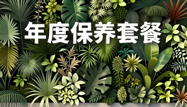 多场景下的保养服务实践与注意事项